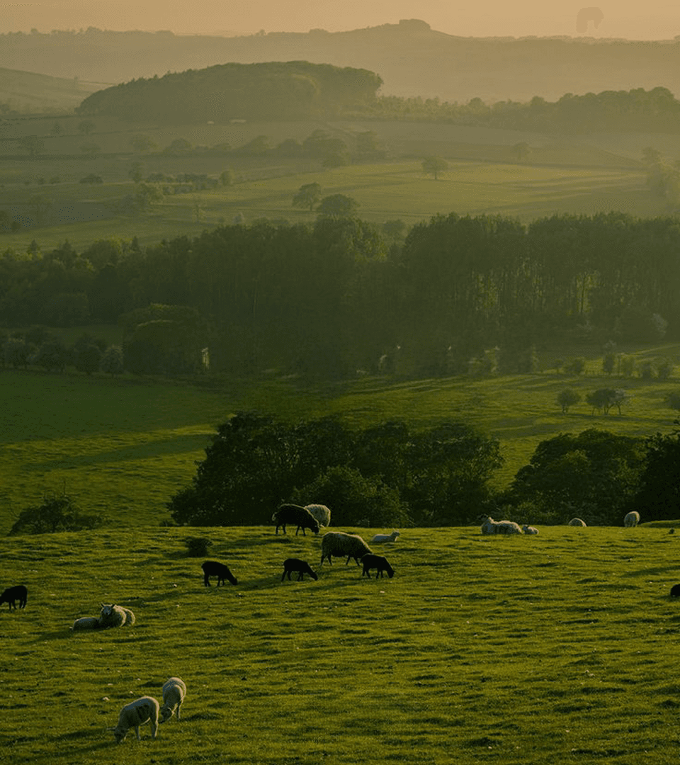 farm_Image